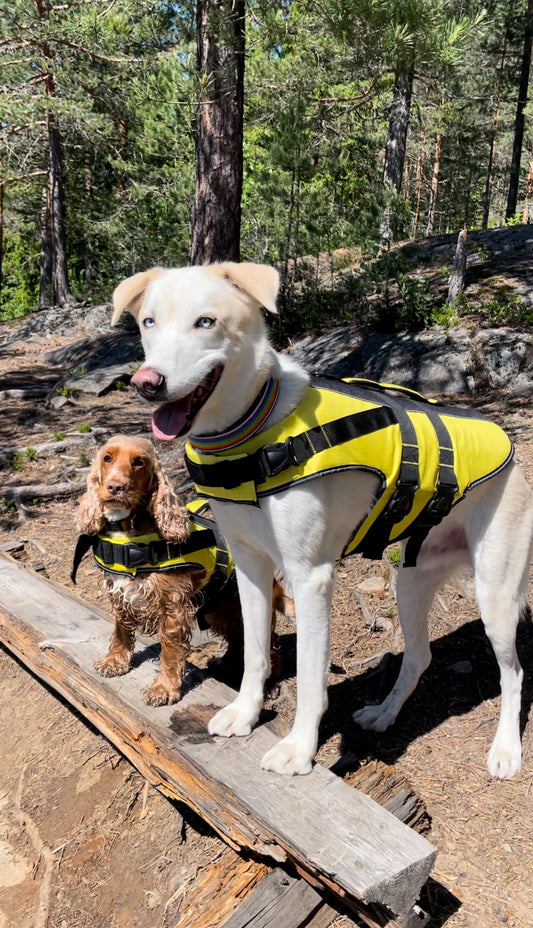 Redningsvest For Hund